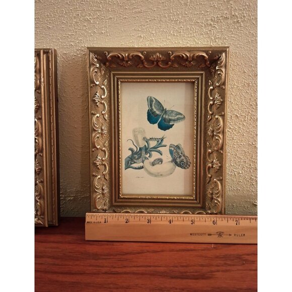 Gold Gilt Frame Wood Gesso Ornate Butterfly Print Blue Canada Vintage Set of 2 - Picture 7 of 8